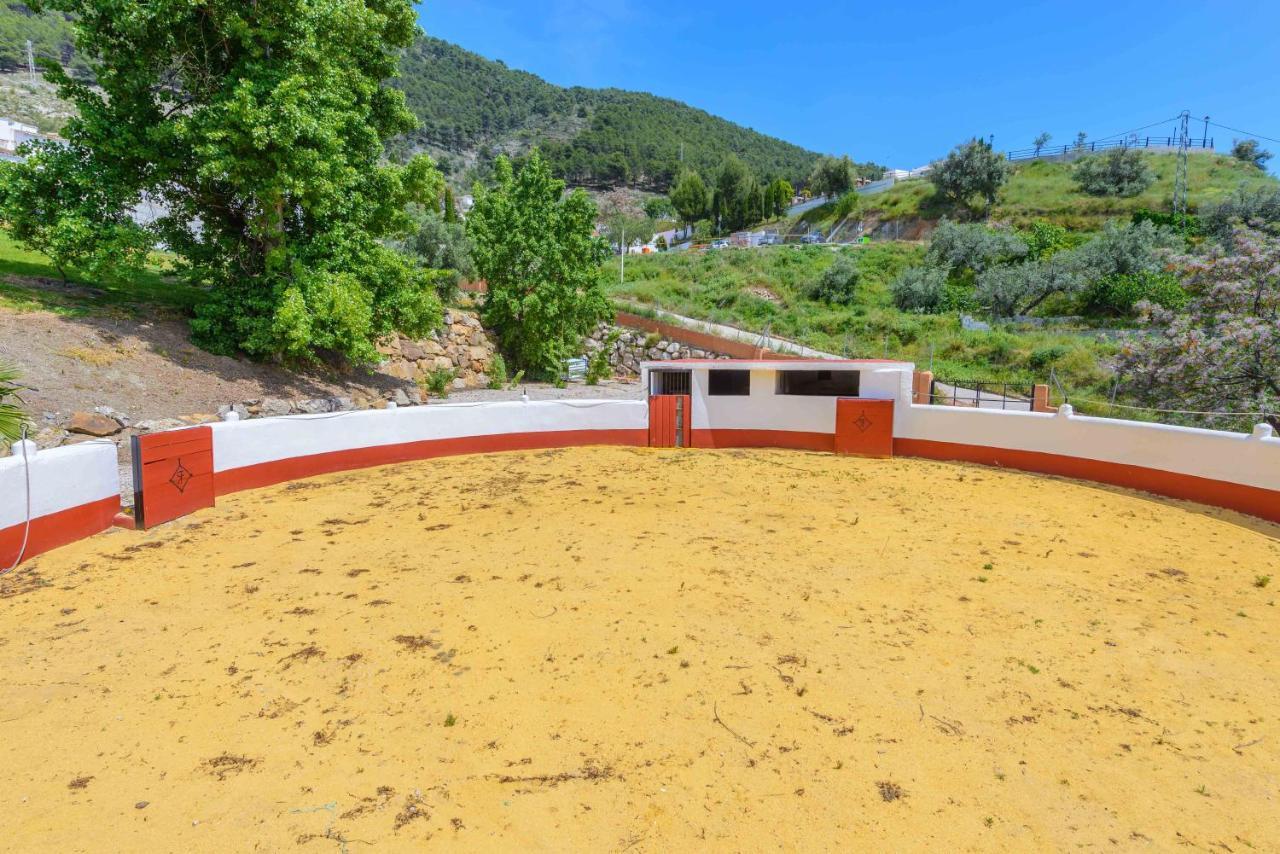Casa Flores Con Piscina Interior Climatizada Alcaucín Zewnętrze zdjęcie