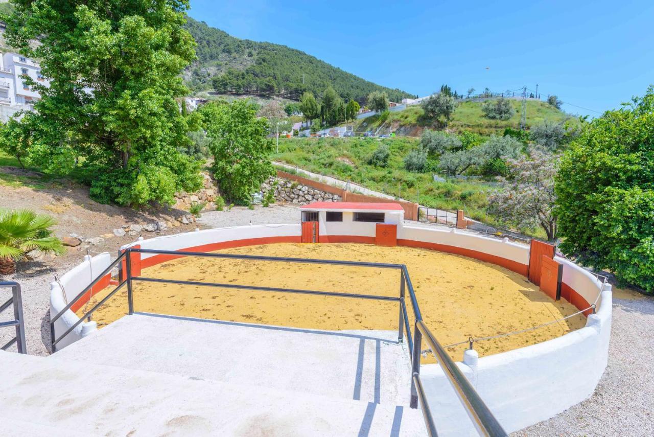 Casa Flores Con Piscina Interior Climatizada Alcaucín Zewnętrze zdjęcie